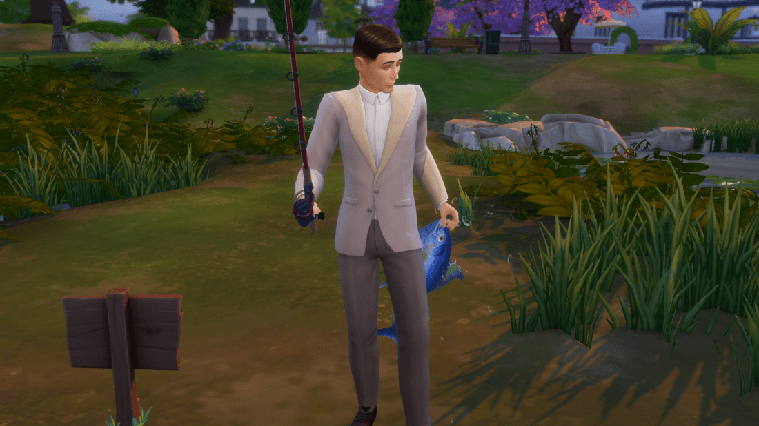 02-06-20_12-20-49 PM