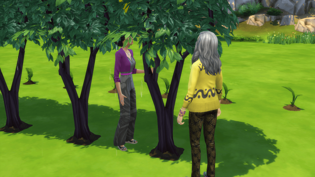 03-05-20_8-55-19 AM