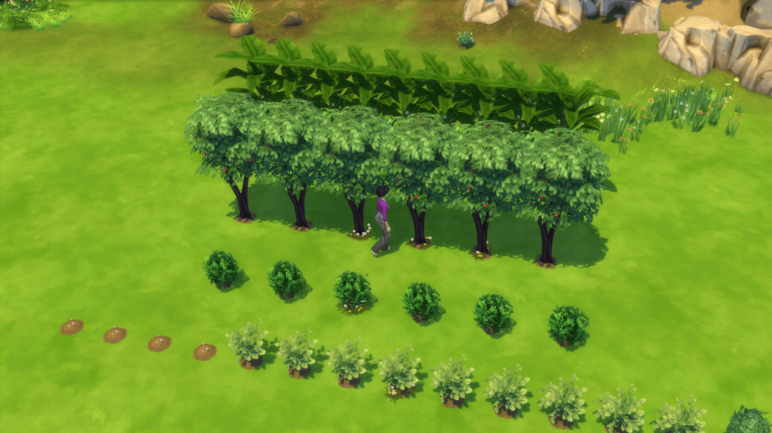 03-11-20_8-05-24 AM