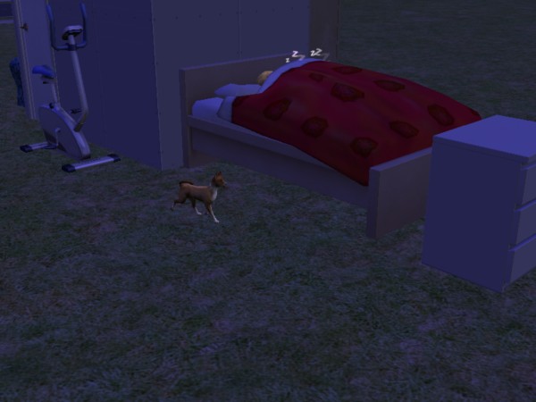 snapshot_6bbb722e_0bbb7b24