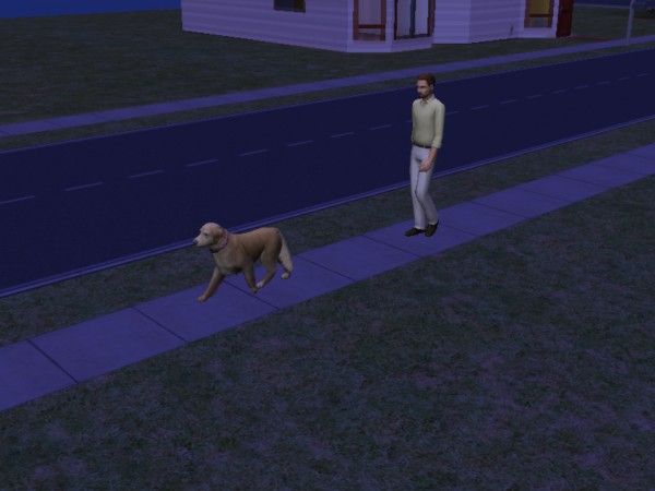 snapshot_6bbb722e_8bbb86c8