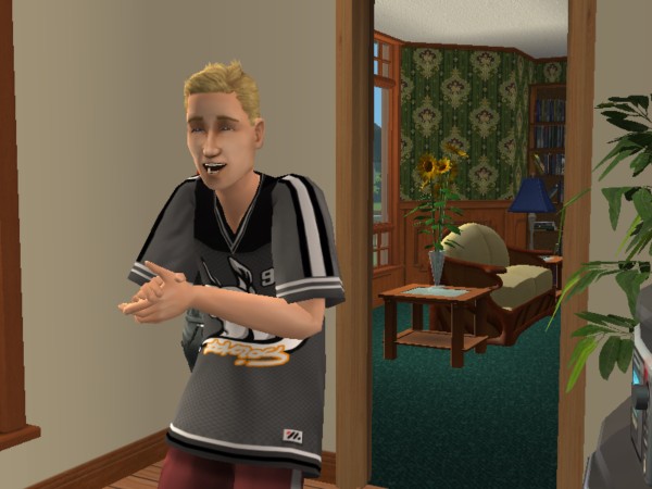 snapshot_cdae71fd_8bb1c2b3