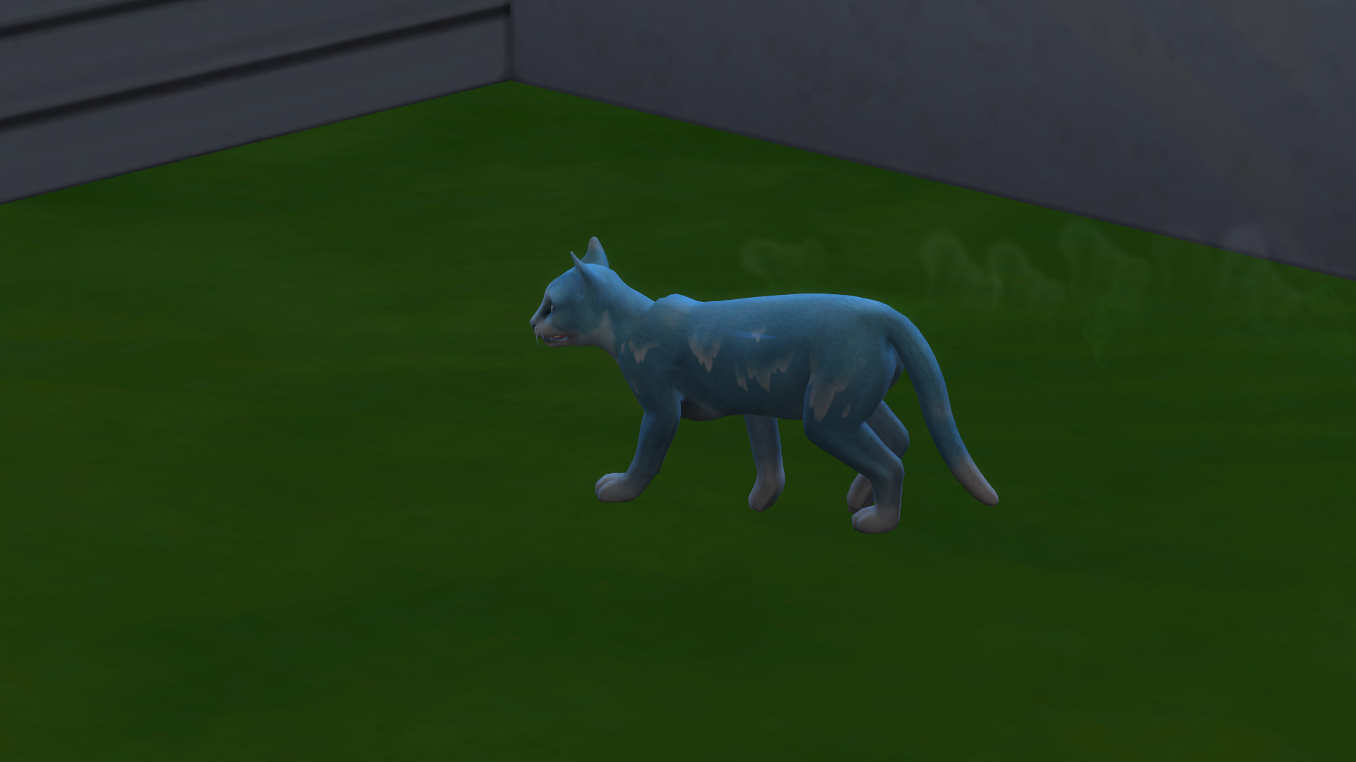 01-05-21_10-33-52 PM