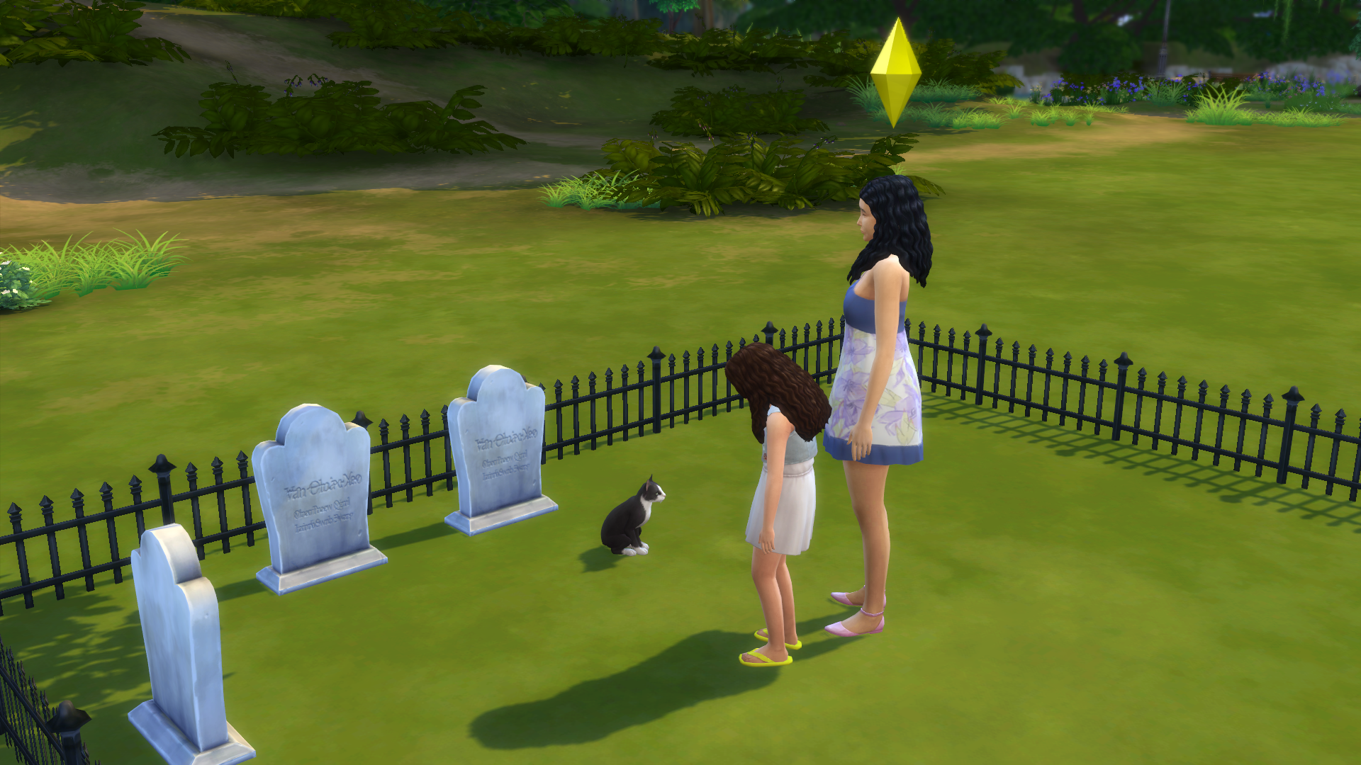 12-27-20_11-27-16-pm