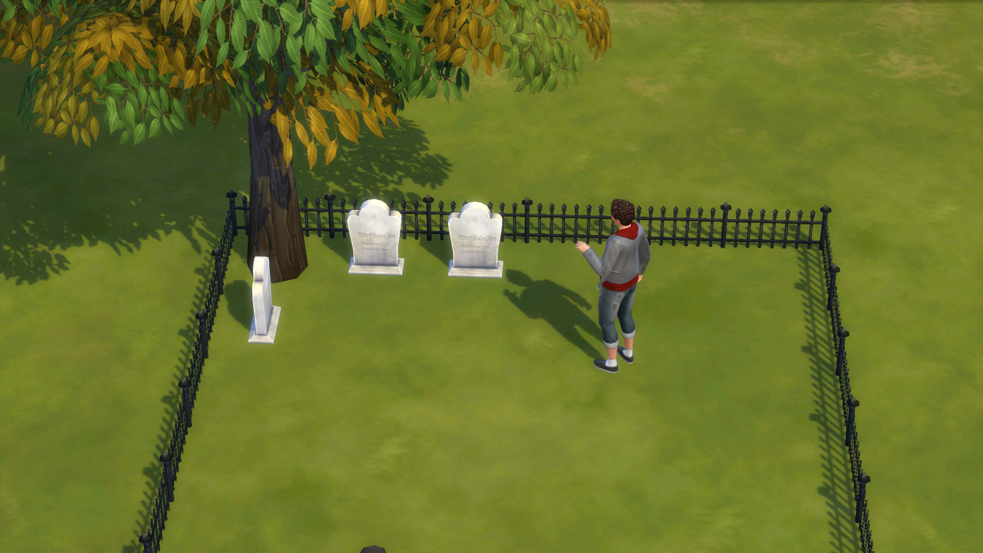 12-28-20_8-56-20 PM